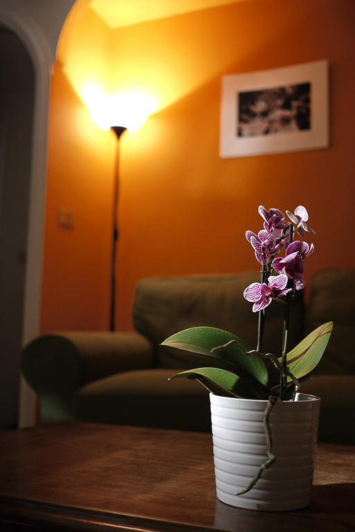 Immagineazione B&B Neapol Exteriér fotografie